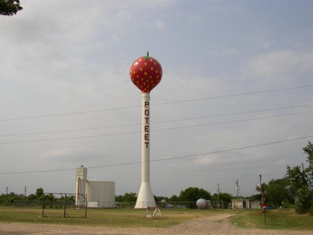 World's Tallest Strawberry