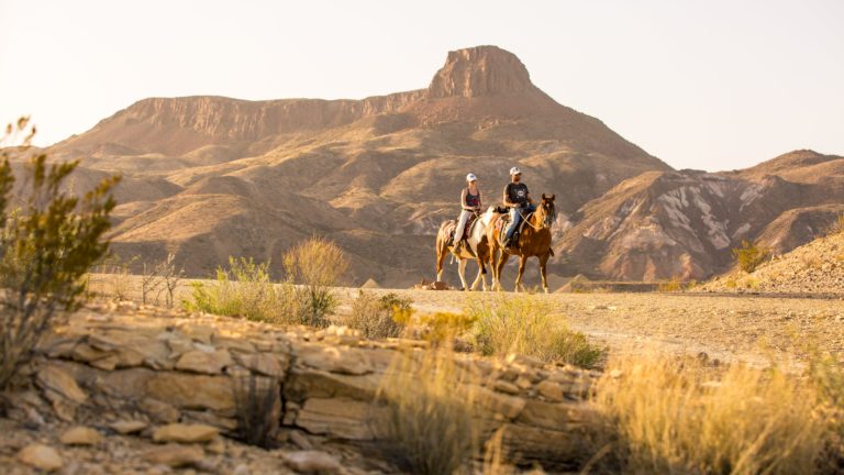 activities 04 768x432