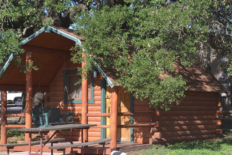 cabin 1 768x512