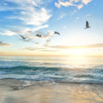corpus christi attractions