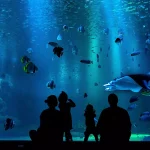 best texas aquariums