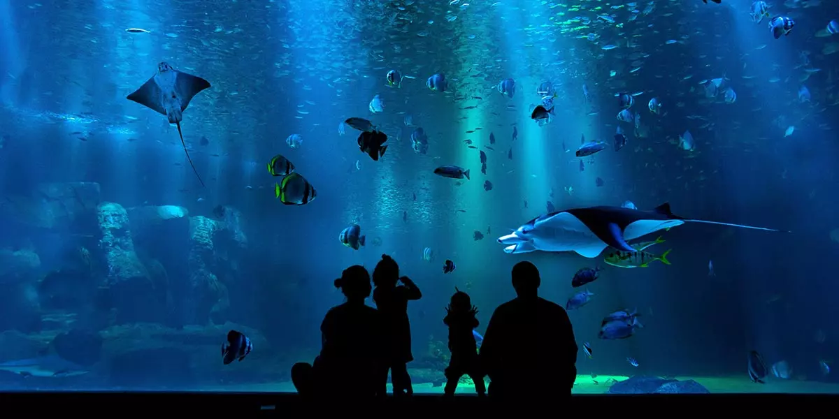 Best Texas Aquariums