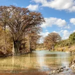 guadalupe river cabins