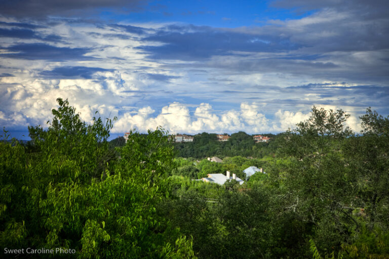 sweet caroline photography spectacular hill country view 768x512