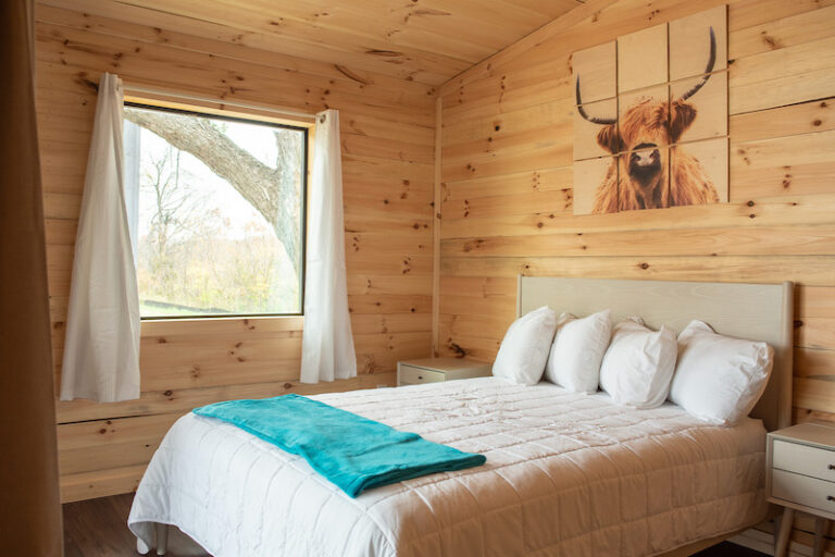 FWC22 C Mammoth 18 768x512