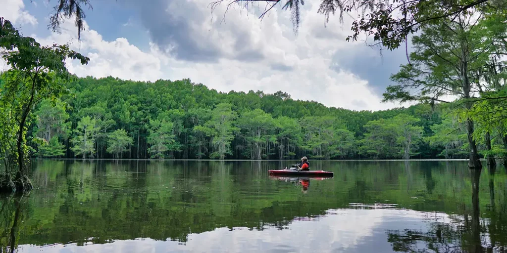 kayaker on Caddo Lake