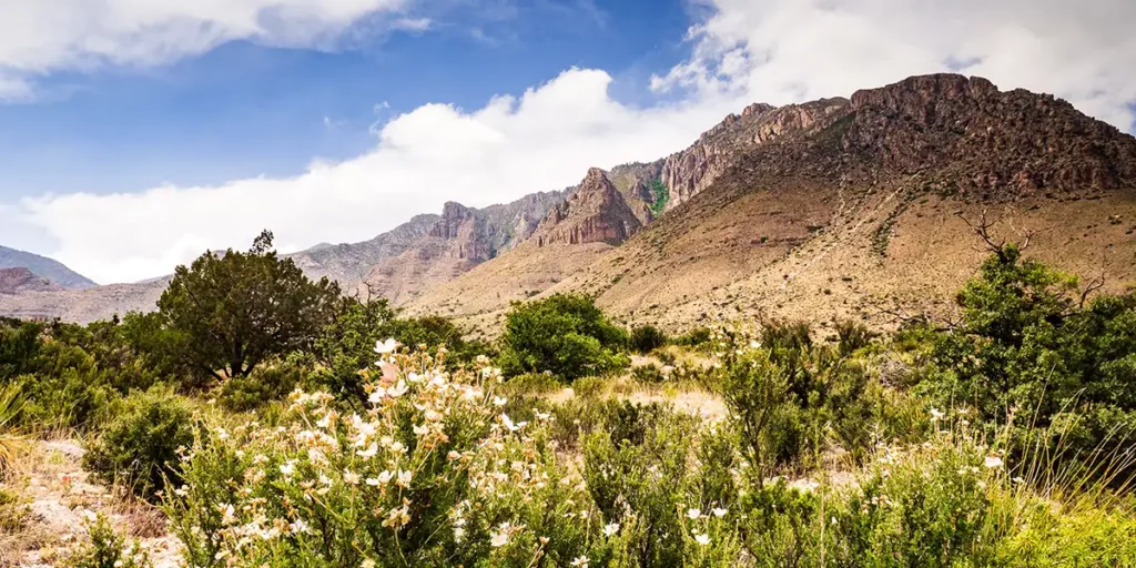 guadalupe mountains national park