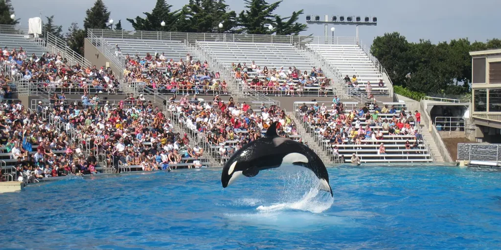 Sea World San Antonio