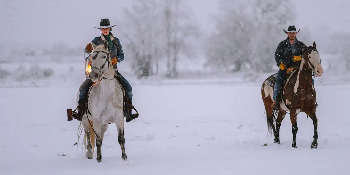 From Desert Frosts to Coastal Breezes: Winter Weather in Texas’ Seven Regions