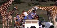 Fossil Rim Wildlife Park