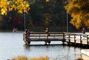 Fishing at Tyler State Park