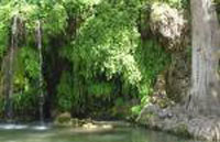 Krause Springs