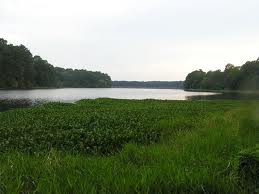 Lake Raven